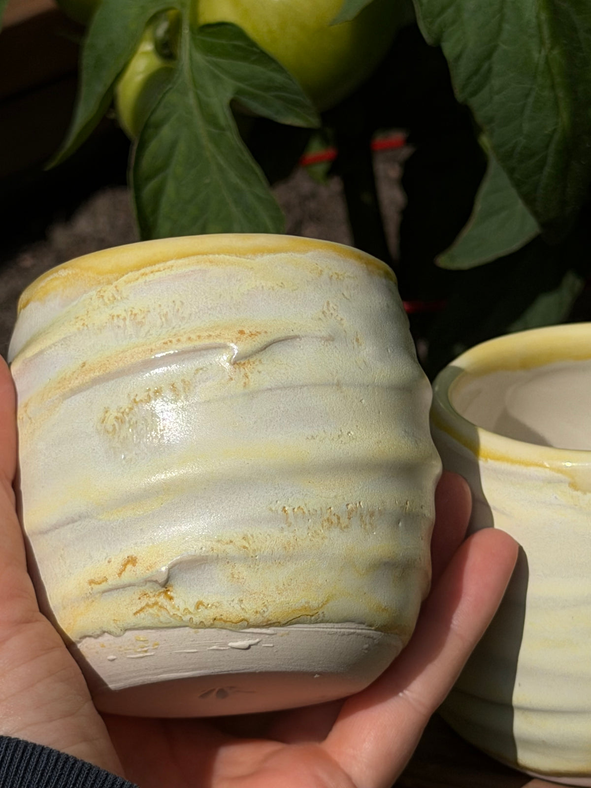 Cups Textured Small
