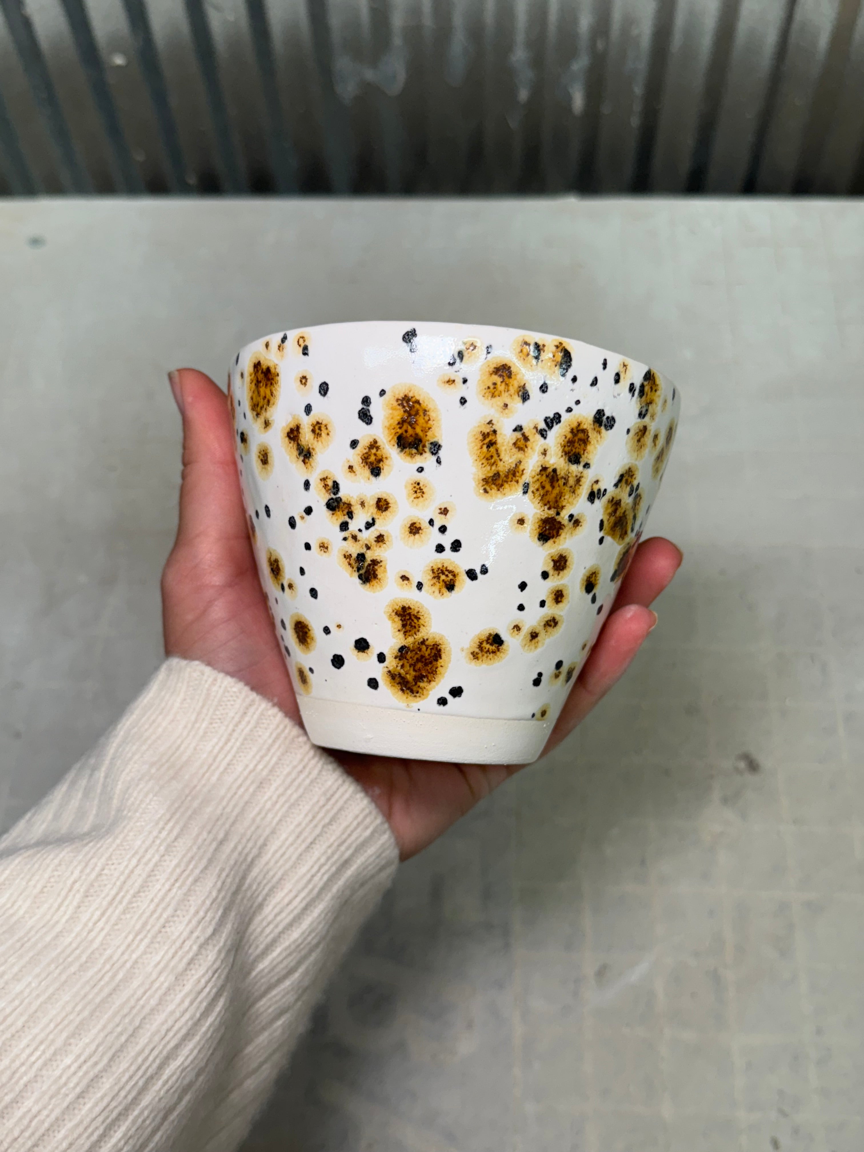 Cheetah bowl