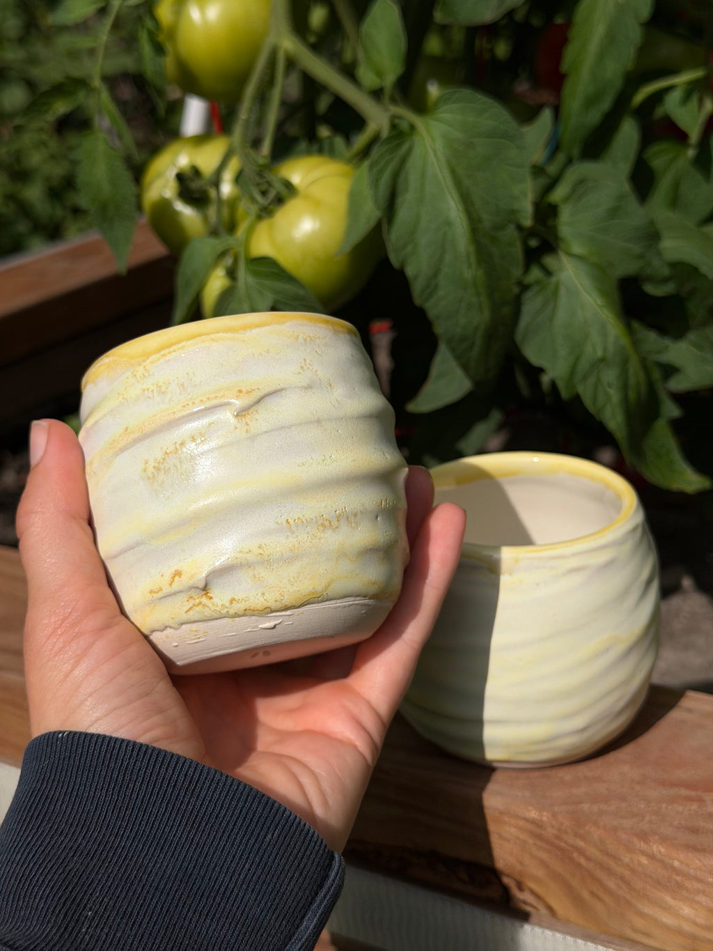 Cups Textured Small