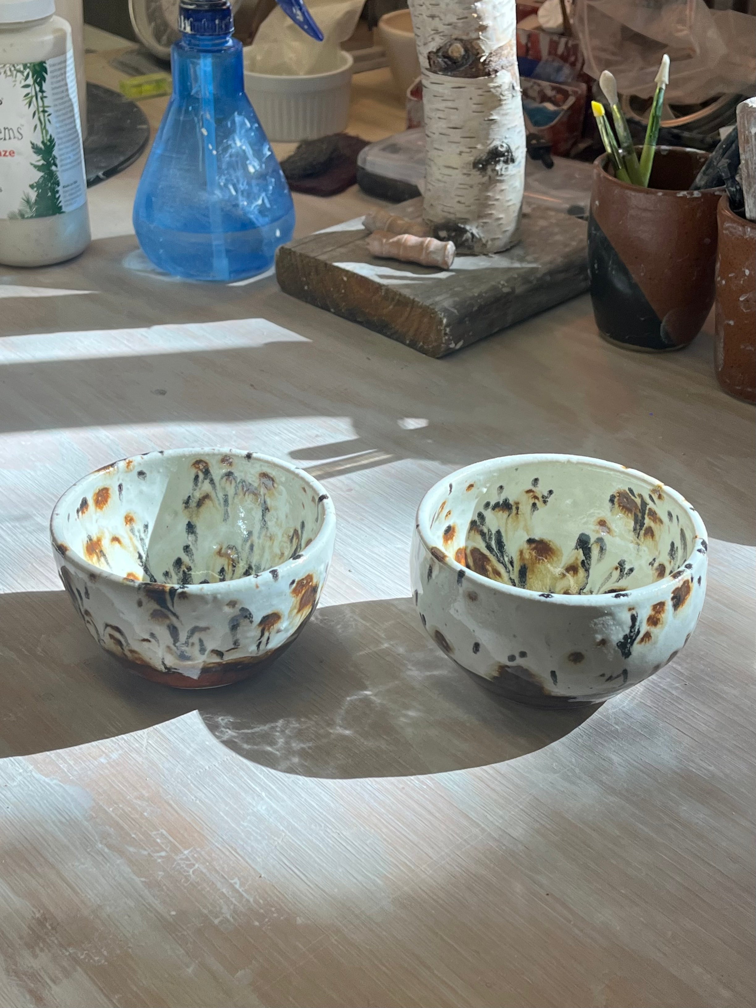 Cheetah Bowl Set