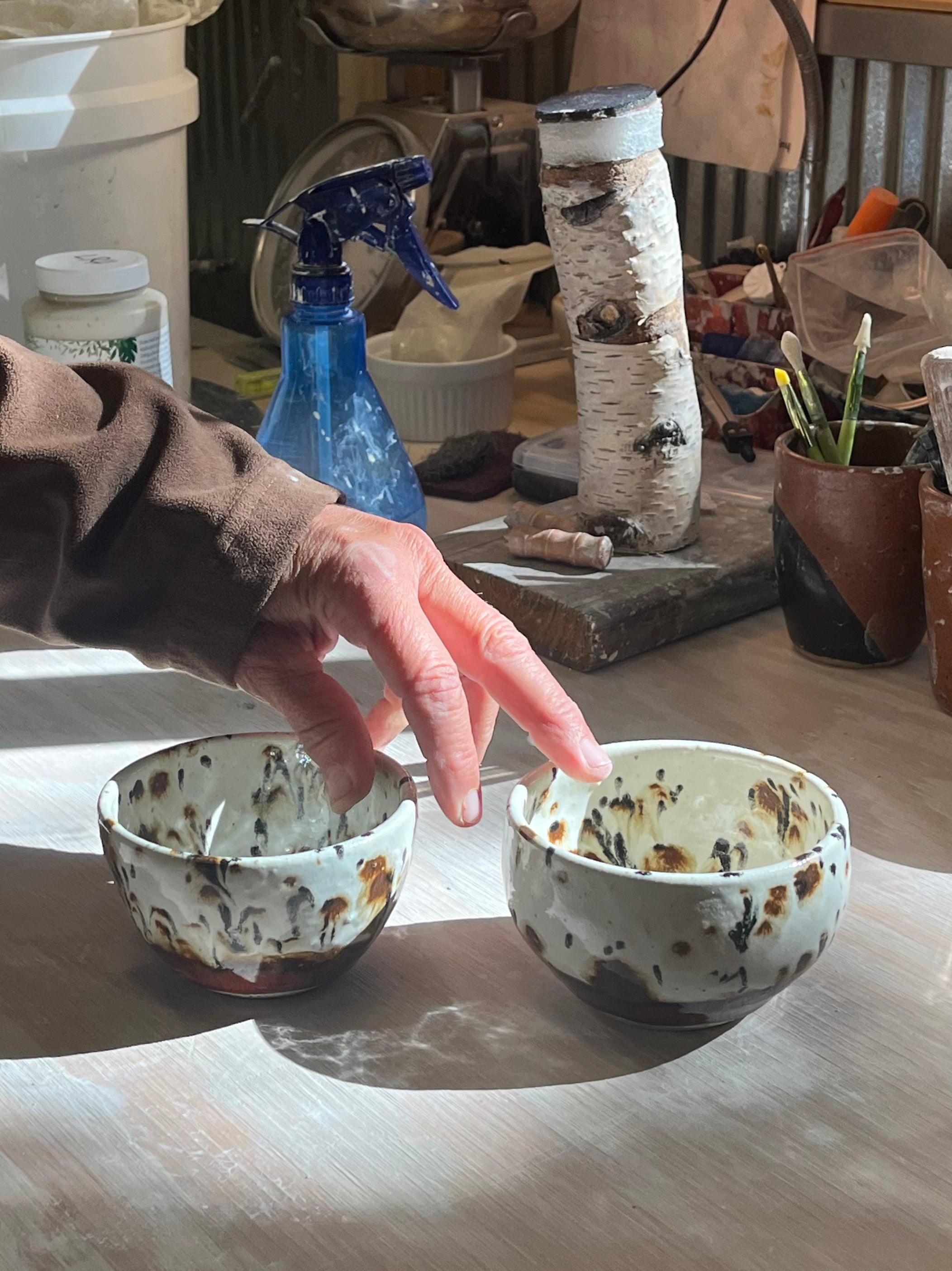 Cheetah Bowl Set