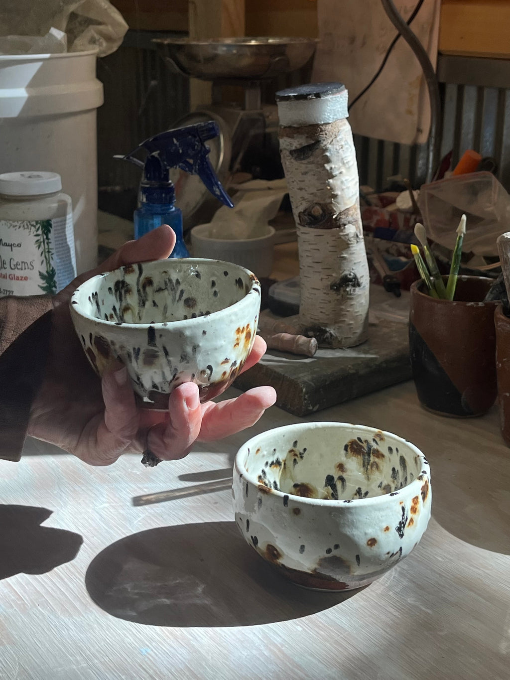 Cheetah Bowl Set