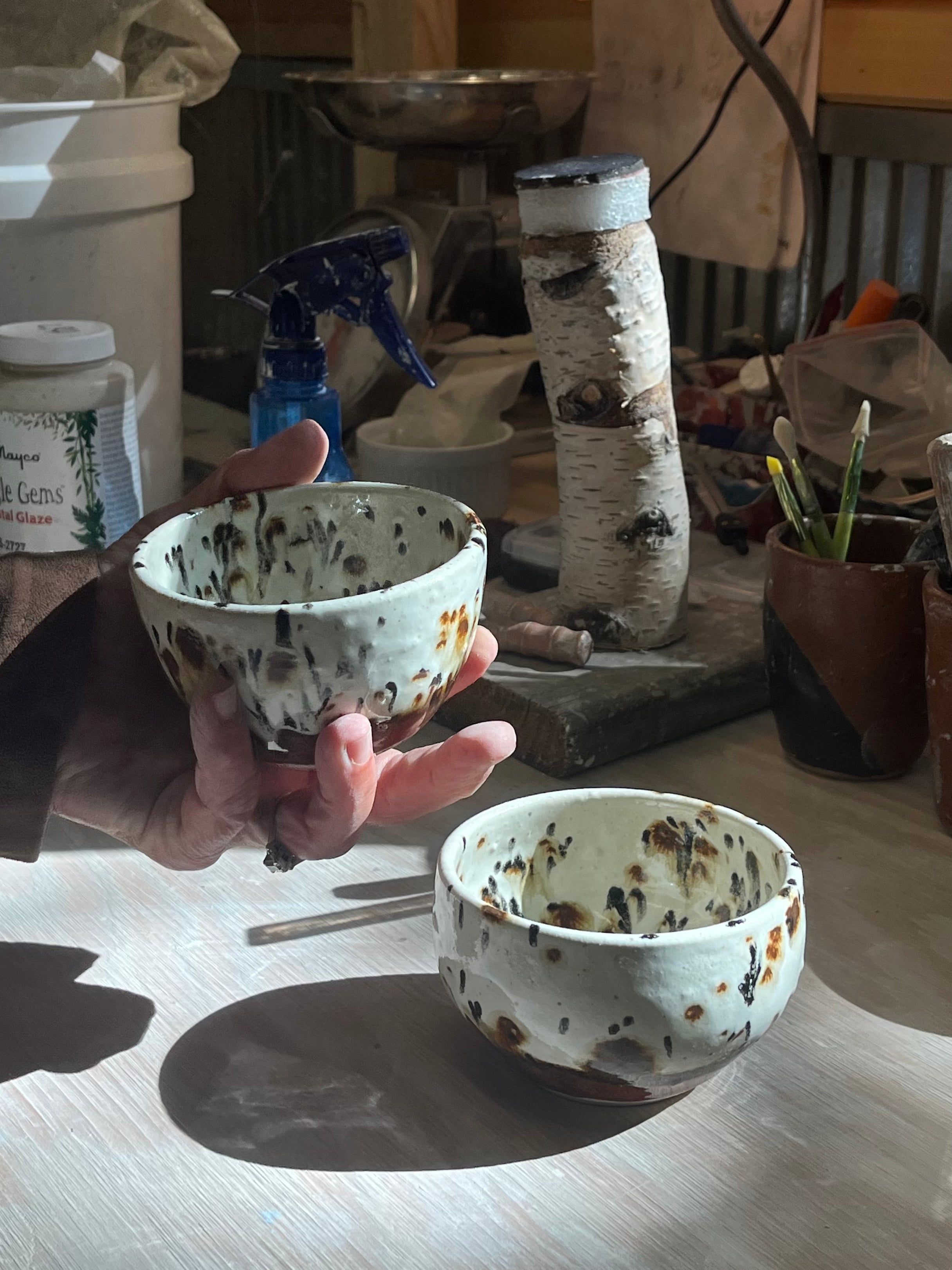 Cheetah Bowl Set