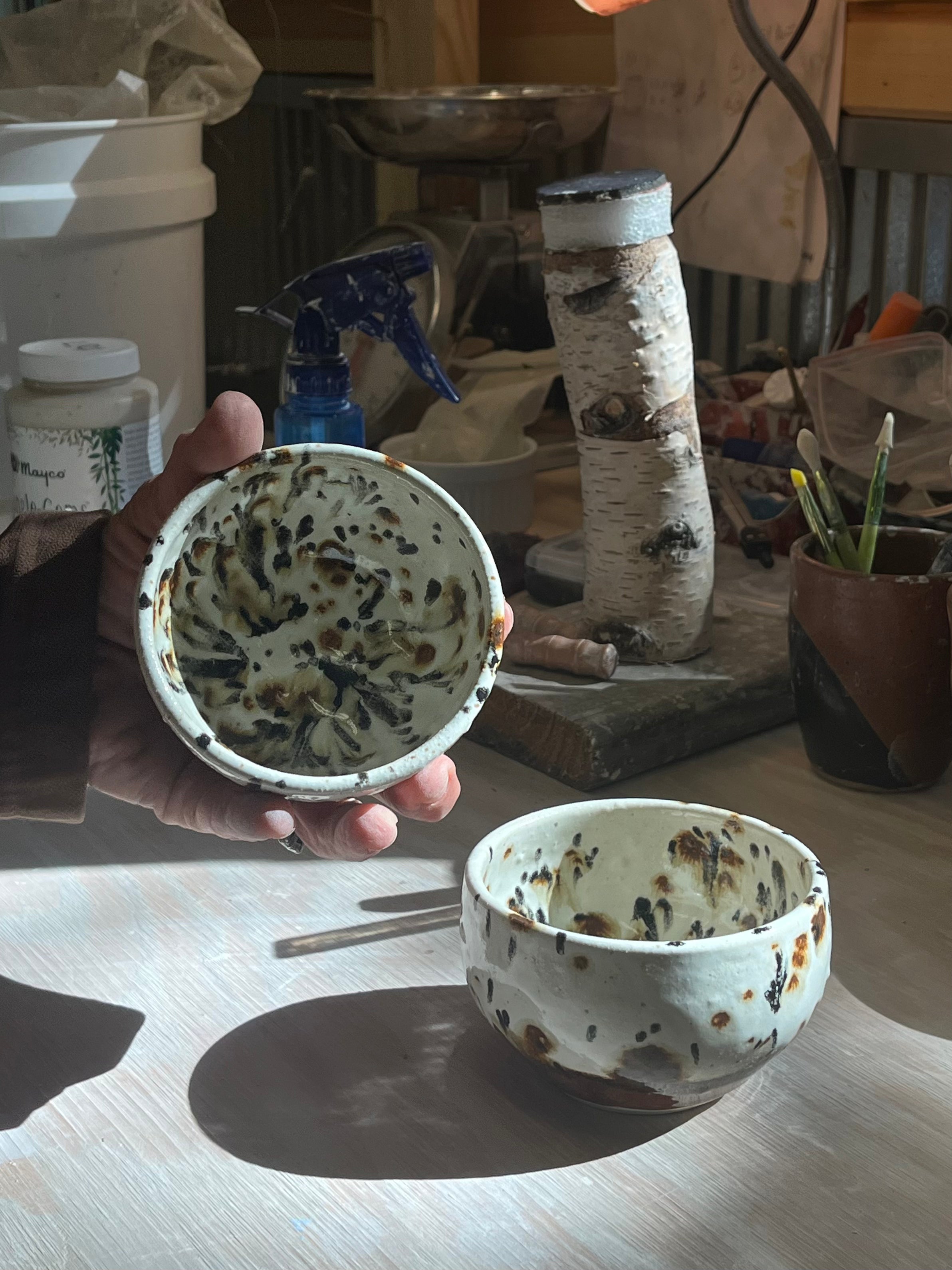 Cheetah Bowl Set