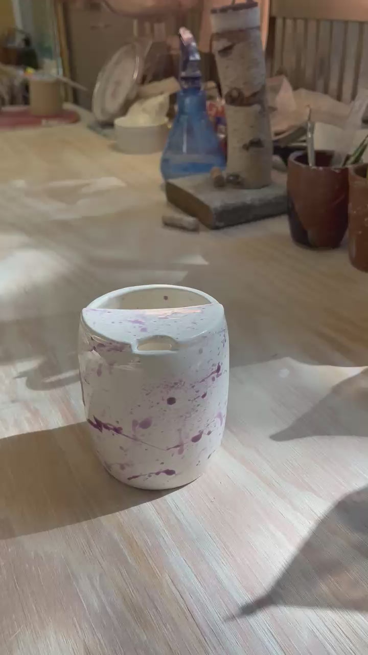 Sippy Cup & Plate Set - Splatter